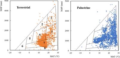 Different Metabolic Roles for Alternative Oxidase in Leaves of Palustrine and Terrestrial Species